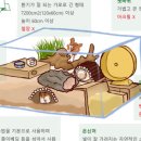 산타클라라동물병원