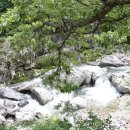 운일암반일암숲길 이미지