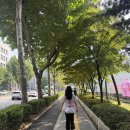 소연농장 | 10월 일상 (1)