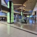 무료영화 상영 <극장판 바다 탐험대 옥토넛: 열대우림을 지켜라> | 6세 아이랑 영화관 데이트 솔직후기 바다탐험대 옥토넛 육지호수 대작전 : 열대우림을 지켜라!