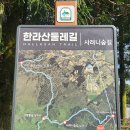 싸다구축산 | [제주] 조천읍 가볼만한 곳 총정리 | 사려니숲길·성판악·함덕해수욕장 코스 & 주차 꿀팁