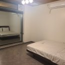 남이섬설1 이미지