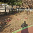 연의체육공원 이미지