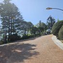 성산패총로-1 이미지