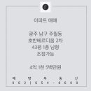 예향공인중개사사무소 이미지