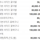 스테디띵스