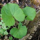 하늘향기한의원 이미지