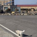 무접섬 앞 이미지