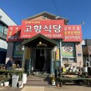 향-고향의 정 | 푸짐한 양과 푸근한 정감가는 태안 갑오징어볶음 맛집 고향식당