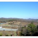 덕고개주유소 Daum카페