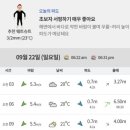 엠엘피 이미지