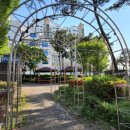 쌍촌동 오월어린이공원 이미지