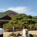 희망의 메시지 이미지