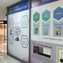 미소아이안과 네이버블로그