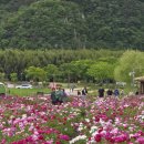 태화강국가정원 이미지