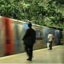 정원인터내셔날 이미지