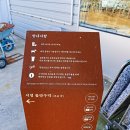 칠성 | 속초 동명동 칠성조선소 후기, 애견동반 가능한 조선소 감성 카페