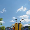 정선골민박 이미지