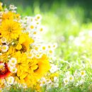 경희나무한의원 이미지