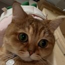 슈어메디칼 | 10주 동안 함께한 미플라이, 달라진 아이들의 하루