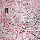 ICHEON190 네이버블로그