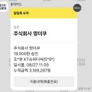 카페멍날 | 서울근교 김포 애견운동장카페 '멍더쿠' 다녀온 후기🙂