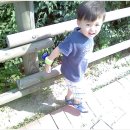 건국대학교사범대학부속중학교 이미지