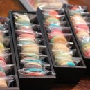 판교샘유치원 이미지