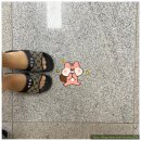 [경영지도사 활동] 대한민국 청소년 창업경진대회 컨설팅 후기(feat.부산창업카페)