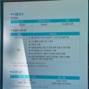 대왕이용