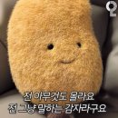 진학사 | [서포터즈] 진학사 진심必 서포터즈 후기 (진학사 생기부 멘토링 강연)