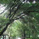 편한마음한의원 이미지