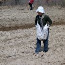 가자농장 이미지