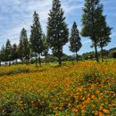 대부바다향기 테마파크 이미지