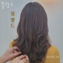 하성기헤어살롱 | 용인 역북동 미용실 블랑드 업체 정보 후기