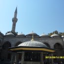 고양이천국 이미지