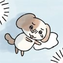 악마는 프라다를 싸게 입는다