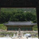 삼화사철조노사나불좌상 이미지