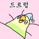 은정스테이 이미지