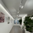 강남에스터산부인과의원 이미지