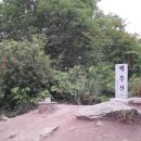 소3-131 Daum카페