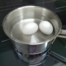 Bear 계란찜기 3개월 실제 사용 후기 올스텐 달걀 삶는 기계