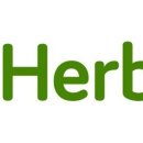 리파인 더 핏 이미지