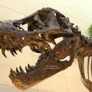 지질박물관 이미지