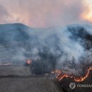 의성(청주) 이미지