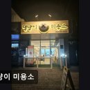 댕냥이 미용소 네이버블로그