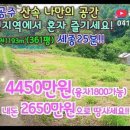 금은동공인중개사사무소 이미지