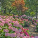 낙동카써비스 이미지