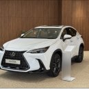 현대카클리닉 | 렉서스 nx350h 럭셔리 할인 상담은 엘앤티렉서스 하남전시장