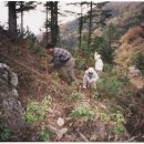 파평산농장 이미지